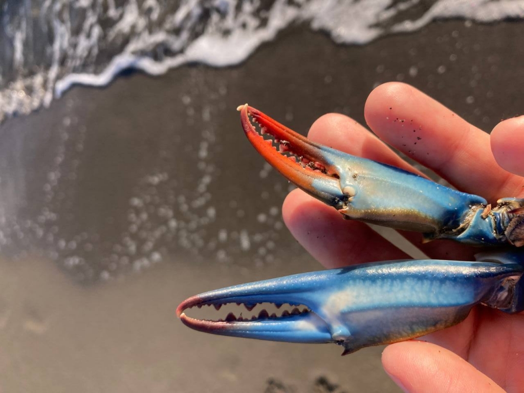 photo_2025-12-23 13.18.12.jpeg photo_2025-12-23 13.18.12.jpeg