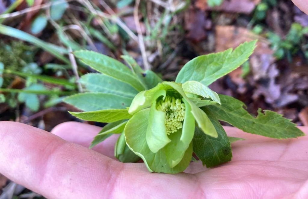 photo_2025-12-23 13.19.00.jpeg photo_2025-12-23 13.19.00.jpeg