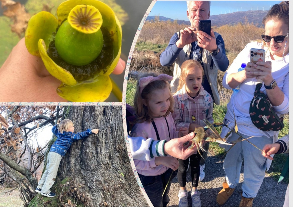 Прогулки с Биологом.jpg Прогулки с Биологом.jpg