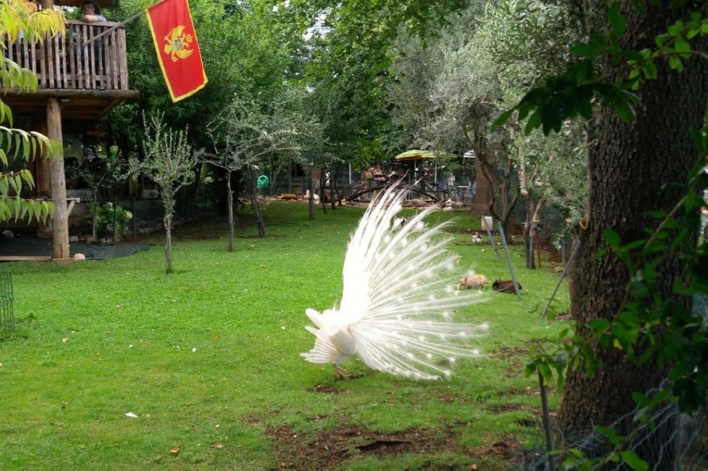 IMG_4667.jpg IMG_4667.jpg