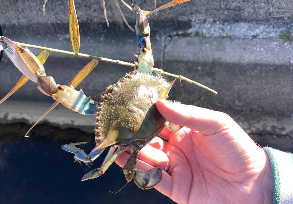 photo_2025-12-23 13.18.36.jpeg photo_2025-12-23 13.18.36.jpeg